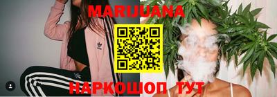 сатива Рыбинск