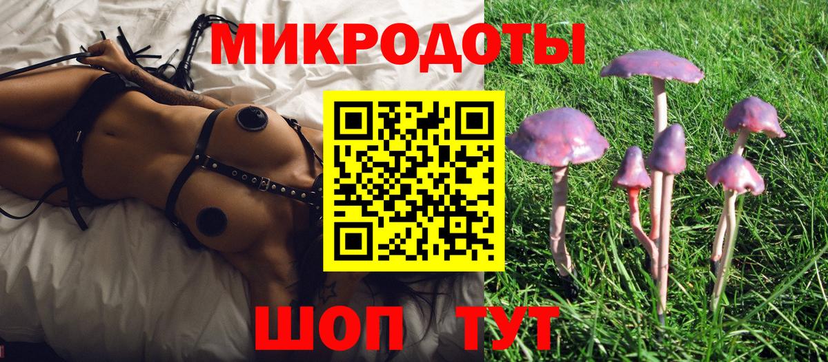 Асино  Галлюциногенные грибы Magic Shrooms  Вход с VPN  Псилоцибиновые грибы мухоморы 
