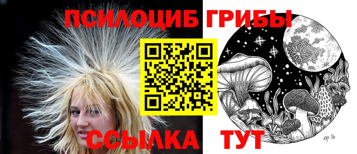 Псилоцибиновые грибы Cubensis Асино